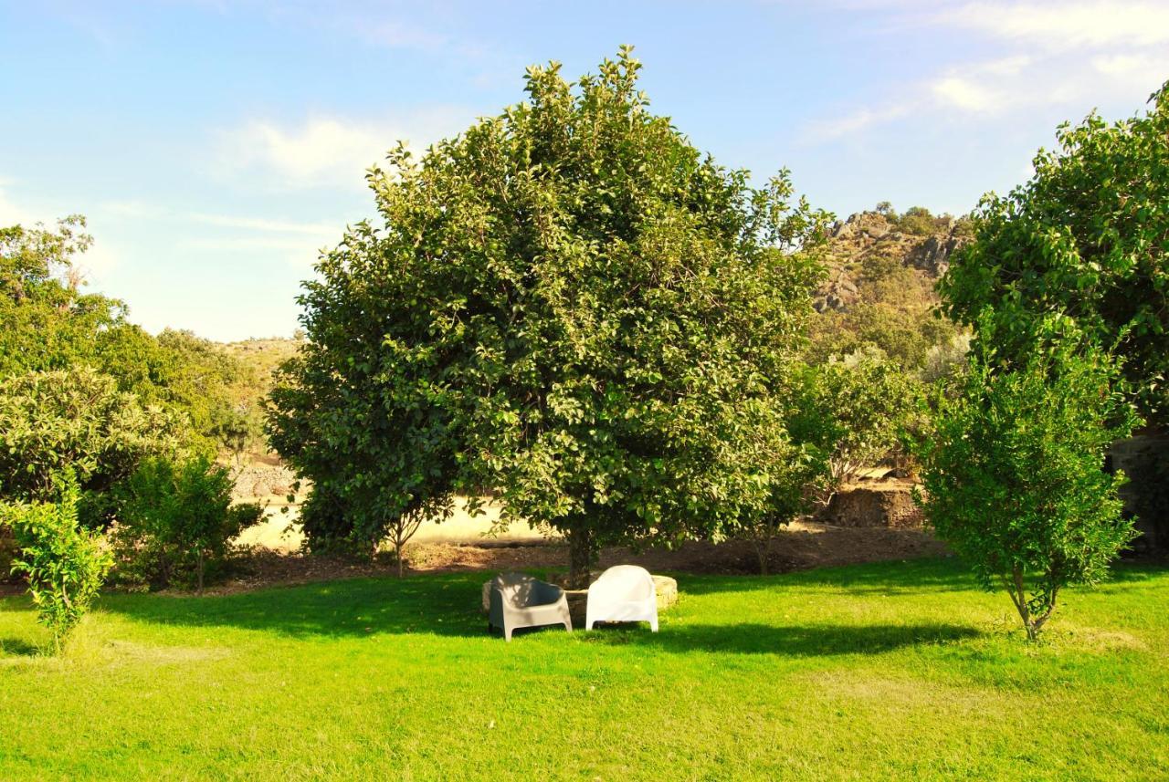 Villa Quinta D'Abegoa à Marvão Extérieur photo